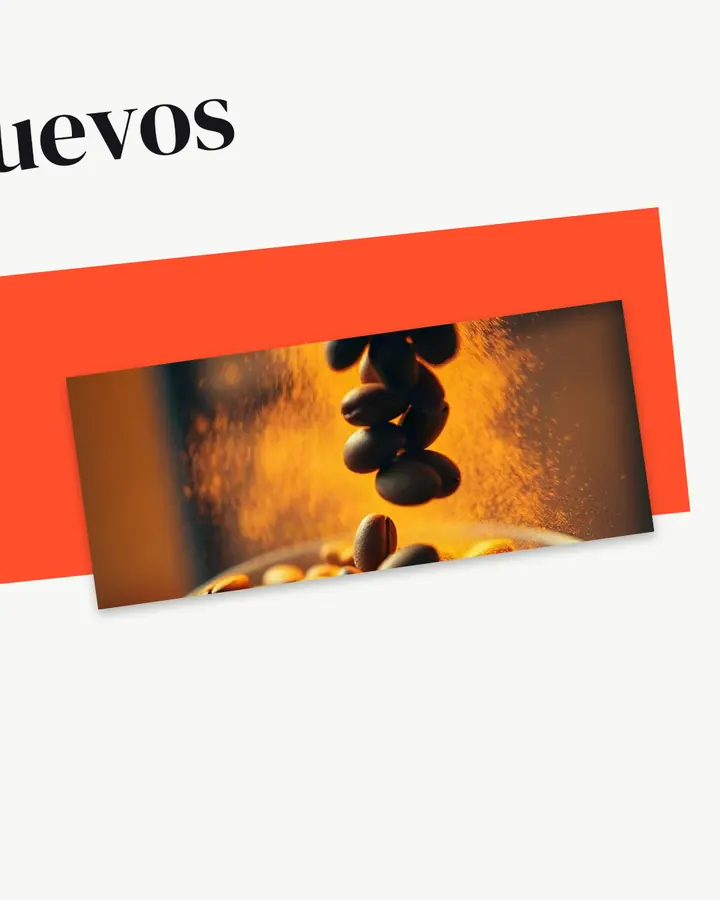 Nuevos productos · 3