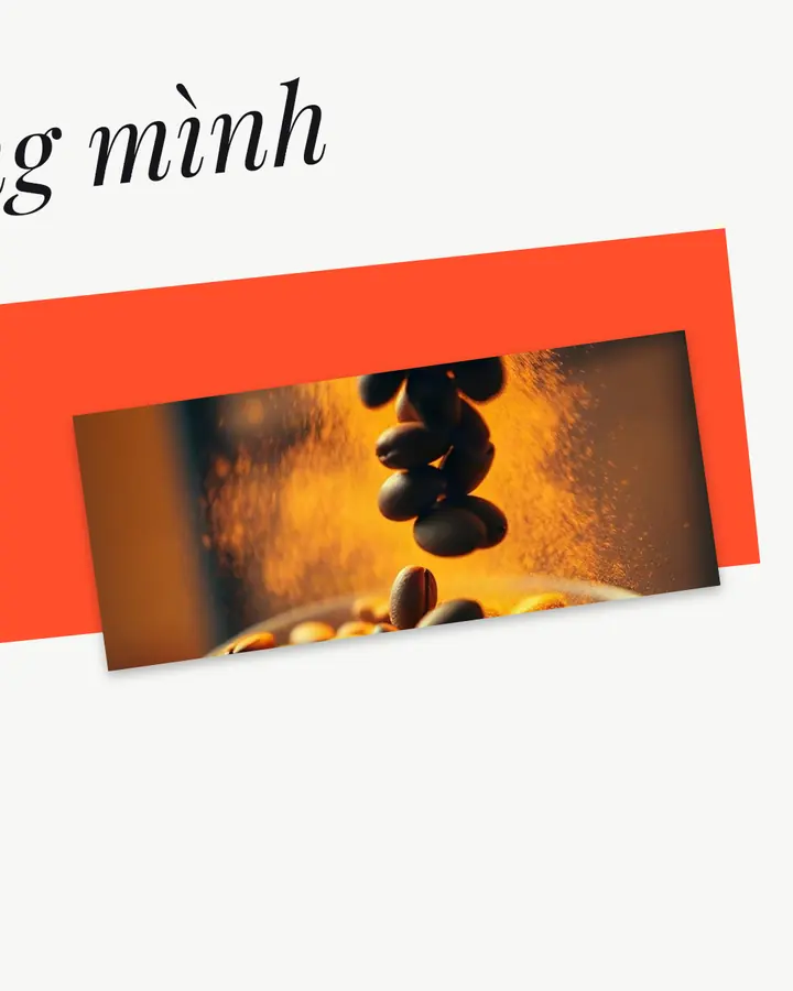 Sản phẩm mới · 3
